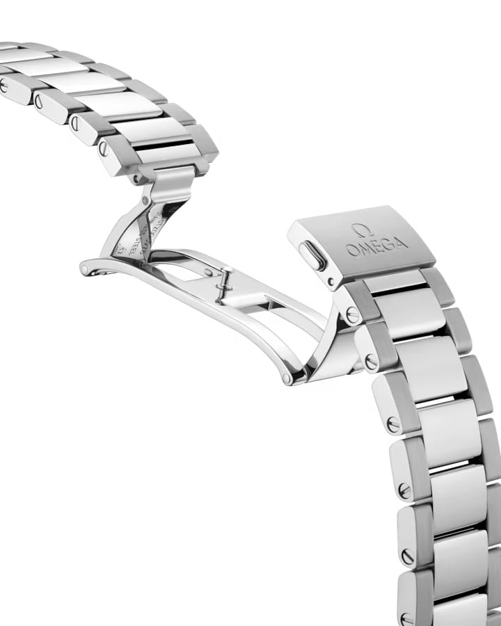 Omega Omega Seamaster Aqua Terra 220.10.38.20.55.001, seamaster швейцария женские часы на браслете нержавеющая сталь боковой вид