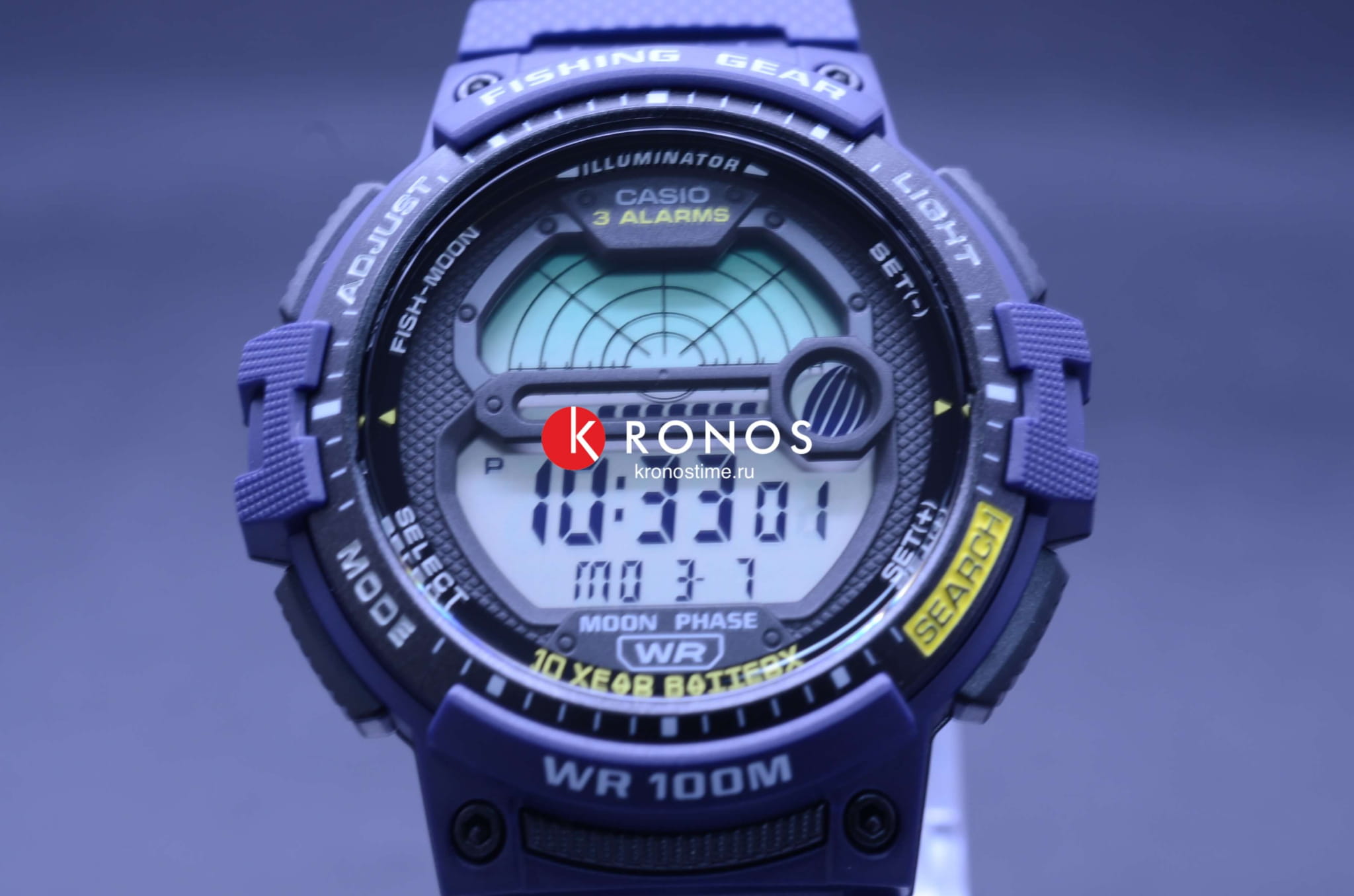 Casio Casio Collection WS-1200H-2A , наручные мужские часы фото под углом