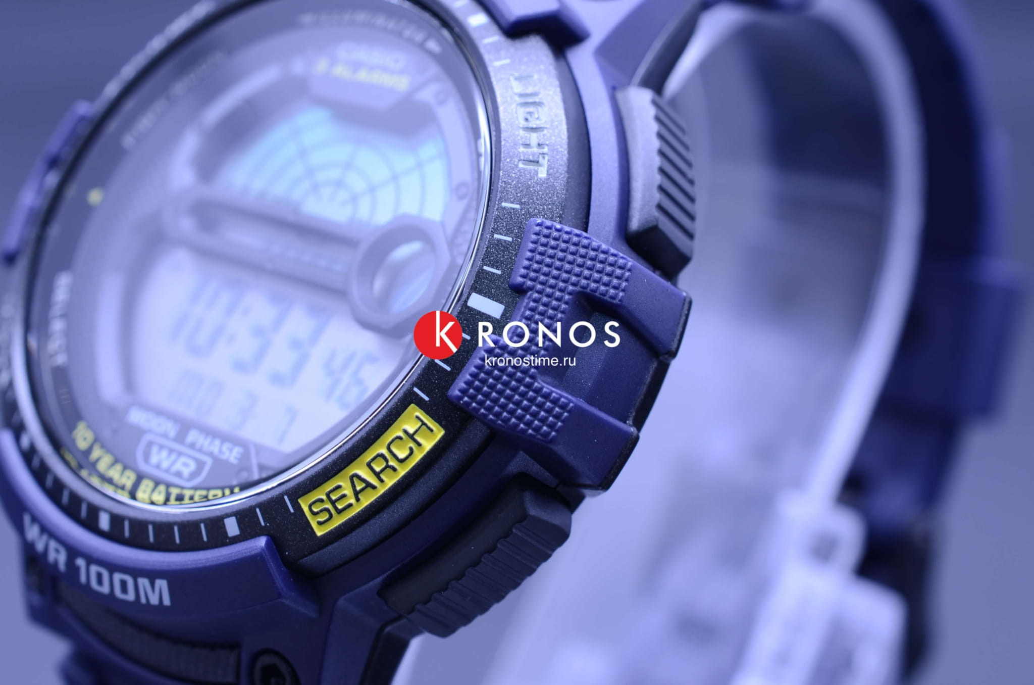 Оригинальные часы Casio Casio Collection WS-1200H-2A кварцевые калибр механизма  общий вид