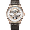 Hamilton H42505510