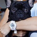 Casio GBD-800-7ER