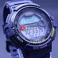 Casio WS-1200H-2AVEF