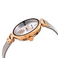 Часы Anne Klein Crystal  3001SVTT фото 8