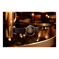 Hamilton H38465501